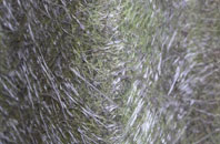 Upper Newbold fibreglass roof work